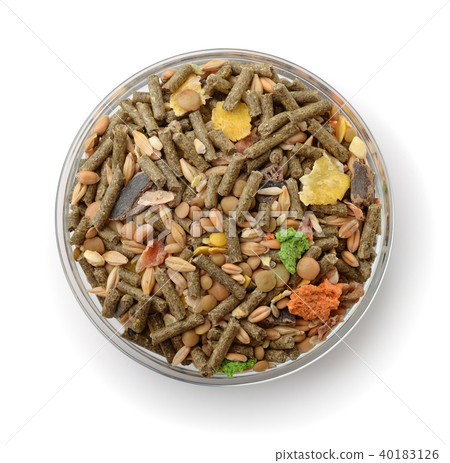 Top view of bowl with compound rodents feed Top view of bowl with compound rodents feed 40183126