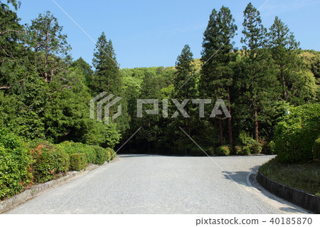 Kyoto Fushimi Momoyama Tomb approach 40185870