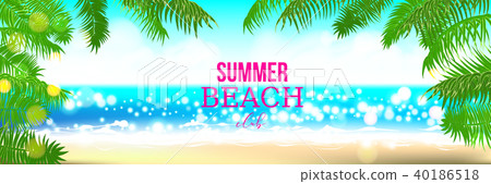 Summer time club seashore palm landscape 40186518