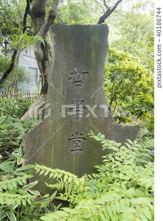 哲學館銘牌哲學館大廳公園（東京中野區） 40186744