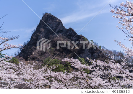 Sakura no Sato Sakura no Sato 40186813