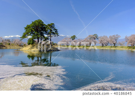 Rikdo Embankment and Flowers 40186845