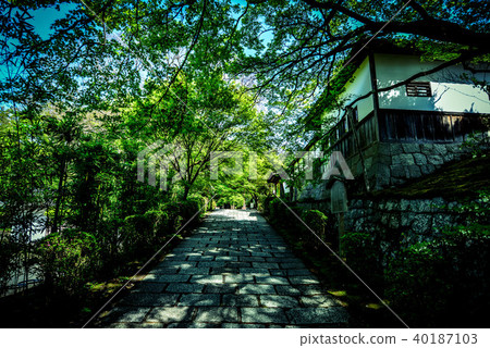 Hoshuin星期一寺廟京都界域庭院的看法 40187103