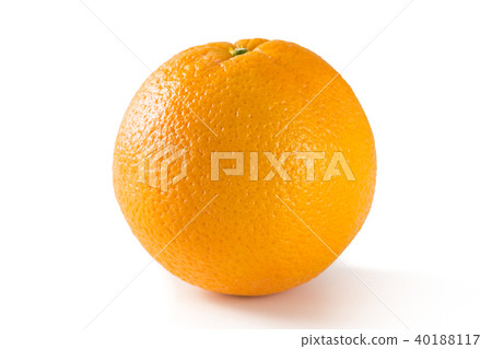 臍橙 40188117