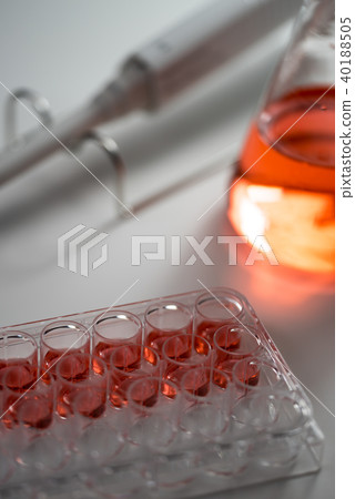 Experiment 40188505