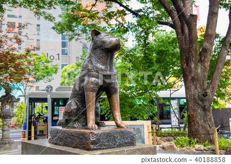 Tokyo Shibuya Taichi Inu Hachiko 40188858
