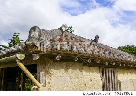 Shisa of Okinawa 40188901