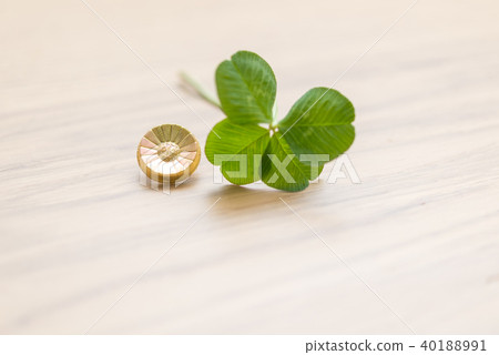 四葉三葉草 40188991