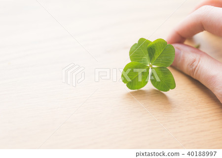 四葉三葉草 四葉三葉草 40188997