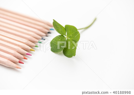四葉三葉草 40188998