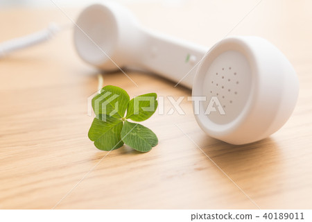 四葉三葉草 四葉三葉草 40189011