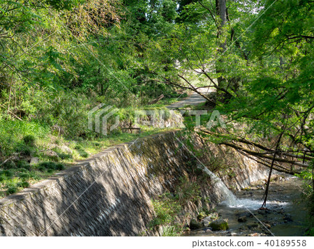 Nature Nature 40189558