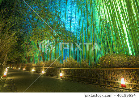 嵐山花光路小竹林 嵐山花光路小竹林 40189654
