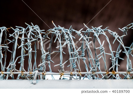 Protection Fence with Sharp Barbed Wire. 40189700