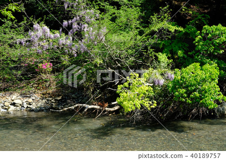 Tokai Nature Trail 40189757