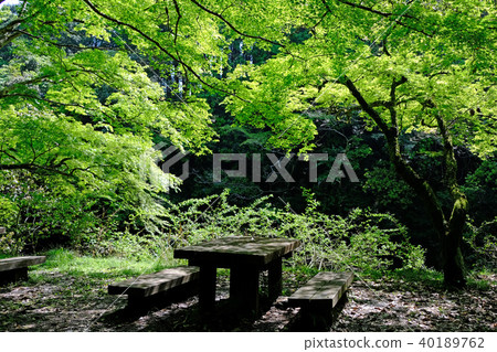 Tokai Nature Trail 40189762