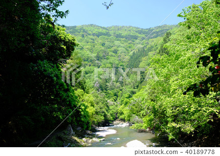 東海自然教育徑 40189778