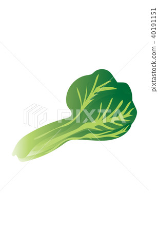 Vegetables Vegetables 40191151
