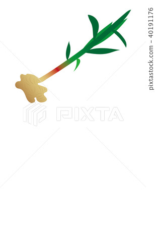 蔬菜姜 蔬菜姜 40191176