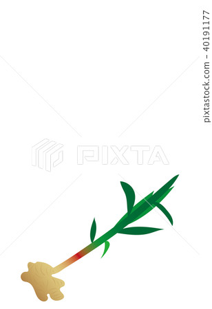蔬菜姜 蔬菜姜 40191177