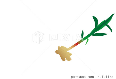 蔬菜姜 蔬菜姜 40191178