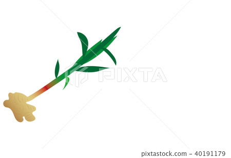 蔬菜姜 40191179