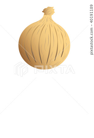 蔬菜洋蔥 蔬菜洋蔥 40191189