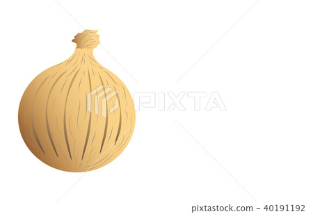 蔬菜洋蔥 蔬菜洋蔥 40191192