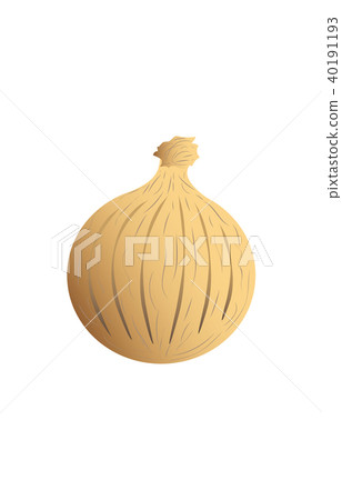 蔬菜洋蔥 蔬菜洋蔥 40191193
