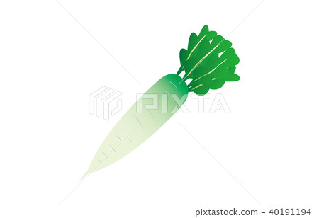 蔬菜蘿蔔 蔬菜蘿蔔 40191194