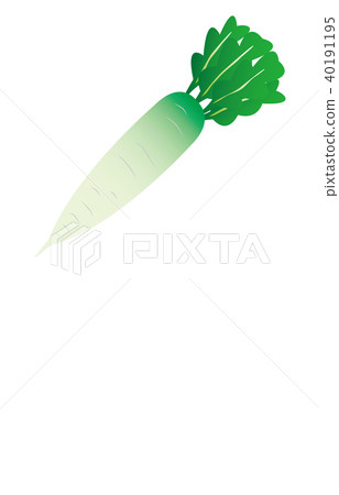 蔬菜蘿蔔 40191195