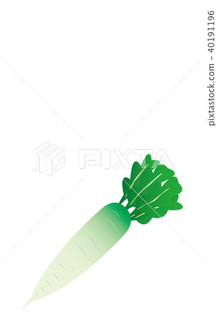 蔬菜蘿蔔 蔬菜蘿蔔 40191196