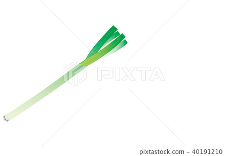 Vegetables long onion Vegetables long onion 40191210
