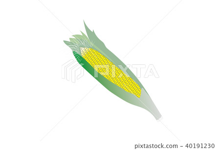 蔬菜玉米 蔬菜玉米 40191230