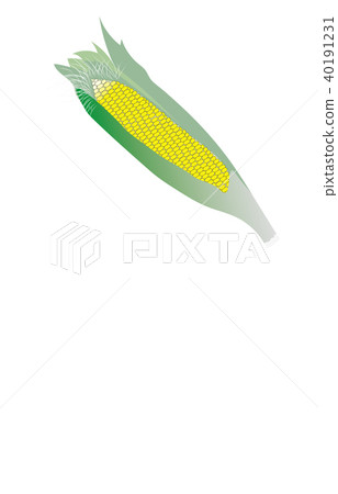蔬菜玉米 蔬菜玉米 40191231