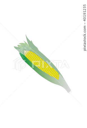 蔬菜玉米 蔬菜玉米 40191235