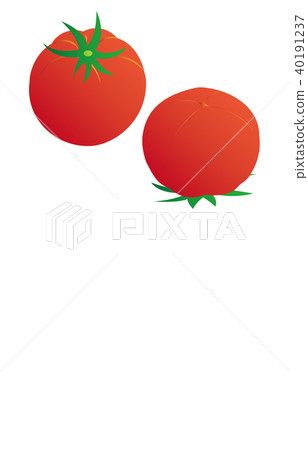 Vegetable tomato Vegetable tomato 40191237