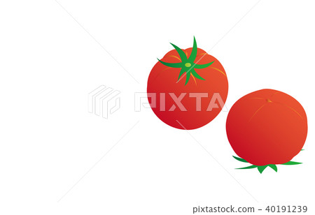 蔬菜番茄 蔬菜番茄 40191239