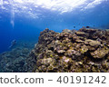 沖繩海 40191242
