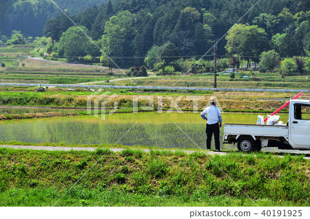 Season of rice planting Season of rice planting 40191925