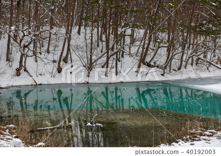 Aonuma, Goshikinuma (Fukushima Prefecture) in winter 40192003