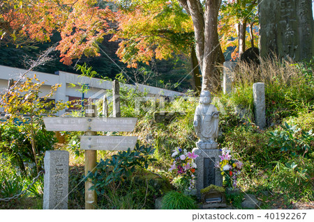 高尾山、高尾山藥王院、表參道、登山路線1、登山口附近的風景 高尾山、高尾山藥王院、表參道、登山路線1、登山口附近的風景 40192267