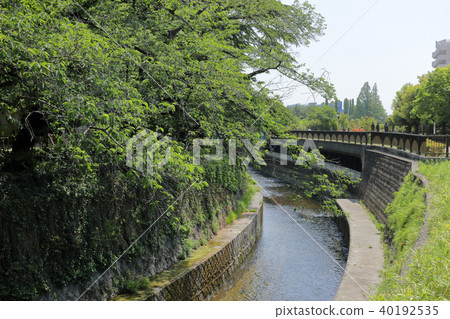 Myoshoji River (Nakano Ward) 40192535
