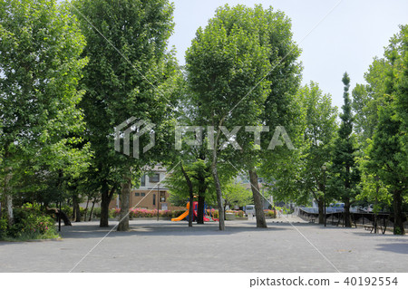 Ekoda Park（中野區） 40192554