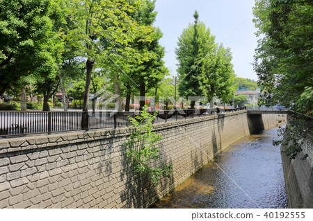 Myoshoji河（中野區） 40192555