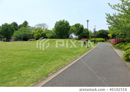和平森林公園(中野區) 和平森林公園(中野區) 40192558