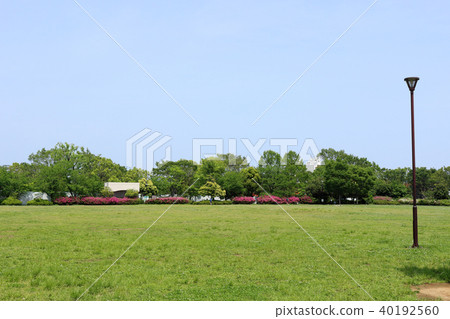 Peace Forest Park (Nakano Ward) 40192560