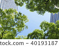 City fresh green 40193187
