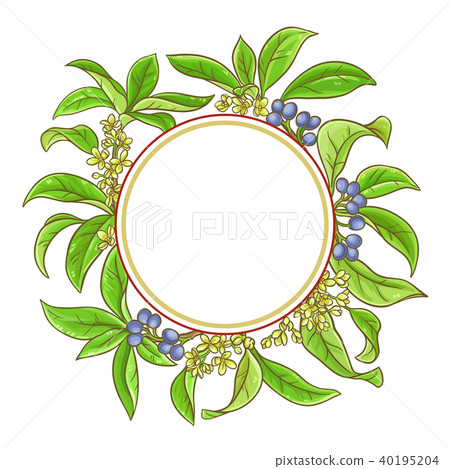 osmanthus vector frame 40195204
