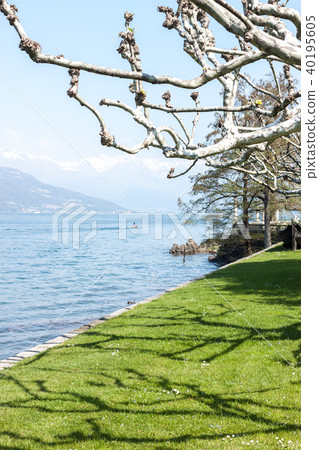 beautiful park along lake side beautiful park along lake side 40195605